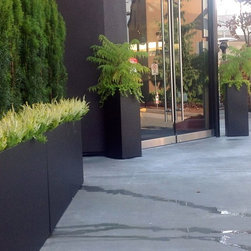 First Impressions... - Outdoor Pots And Planters