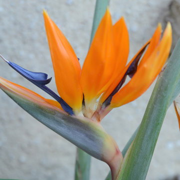 Aménagement de terrasse - Le Castellet
