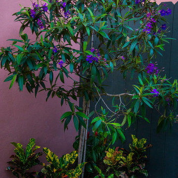 Secluded Tropical Courtyard