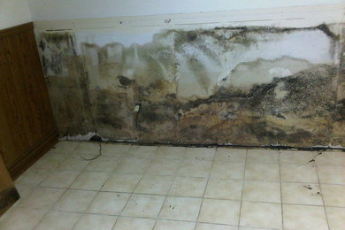 Mold Remediation in Livermore, CA