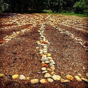 Christina Gandy's photo