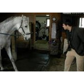 Amit Mukherjee's photo