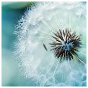 Vanessa McGraw's photo