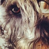 Brandy McCoy's photo
