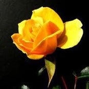 Jackie Schoder's photo