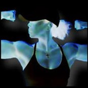 Cynthia Phillips's photo