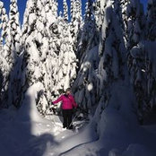 Annie-Claude Tardif's photo