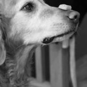 Dan Hochstaetter's photo