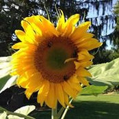 Lizzie McLean's photo