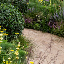 New house Garden