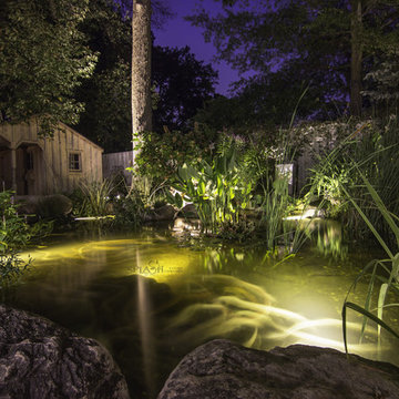Backyard Koi Pond Retreat
