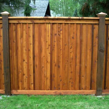 Landscape Ideas