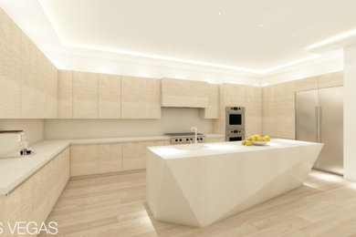 Kitchen - modern kitchen idea in Other