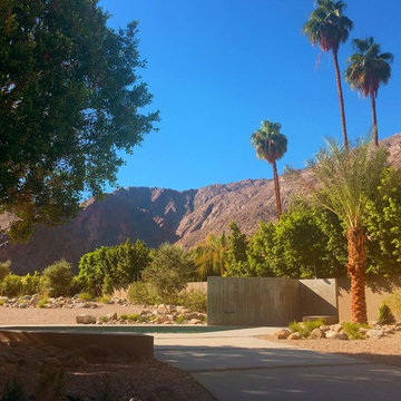 Desert Landscaping Project