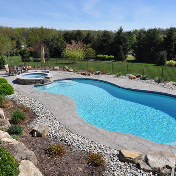 Freeform Salt Water Pool with Raised Spa