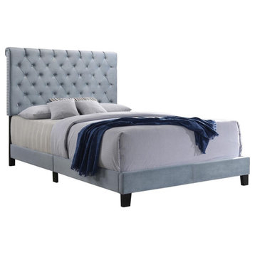 Coaster Warner Eastern King Contemporary Velvet Upholstered Bed in Slate Blue
