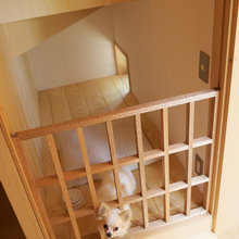 Doggie digs