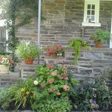 Summer containers in Philadelphia