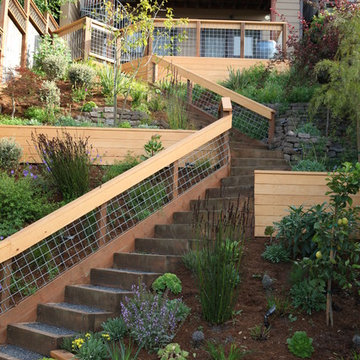City View Garden - Bernal Heights