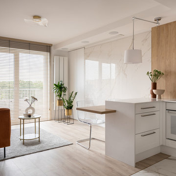 Kitchen remodeling