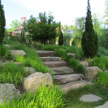 Steps