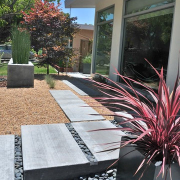 Mountain View Contemporary