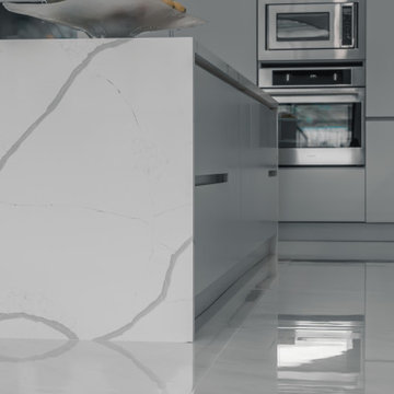 Sleek Elegance - Full Matte Lacquer Kitchen Project