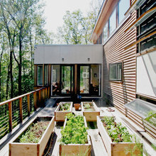 Green Balconies