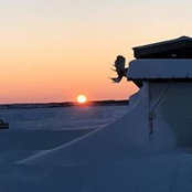 Barbara Norris's photo