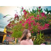 Anh Lês foto