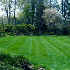 Delaware Valley Turf Lawn Care