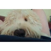 Judi McLaughlin's photo
