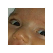 Catia Contri's photo