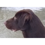 Karen Brenkus's photo