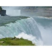 Lisa Schroeder's photo