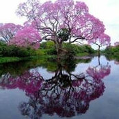 Hilda Evaro's photo