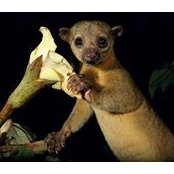 Kate Fleming's photo