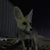 Jason Watson's photo