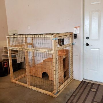 Cat Play Space