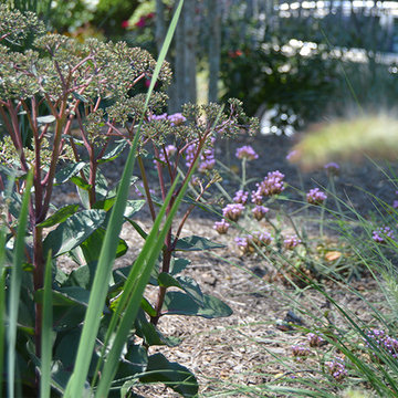 Plantings
