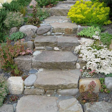 Backyard ideas