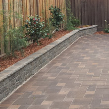 Backyard pavers