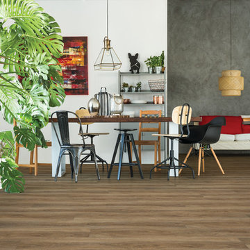 Playa Collection / Collection Playa