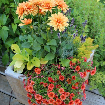 Outdoor Containers