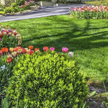 Curb Appeal