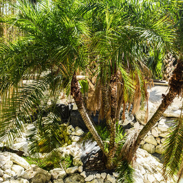Tropical Architecture