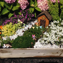 fairy garden