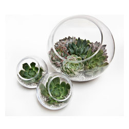 Zen Glamour - Home Decor