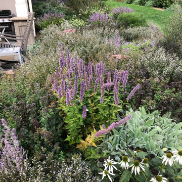 Cloud Garden