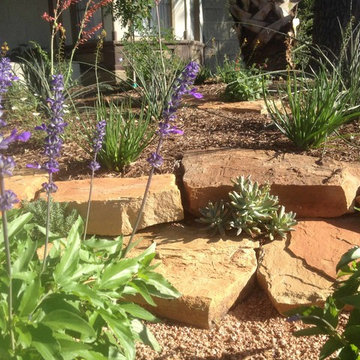 Xeriscape #1